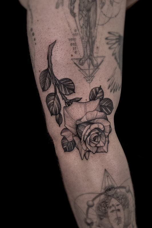 Fineline Rose Tattoo by tattoo artist Adam LoRusso Last Light Tattoo Studio Medford Massachusetts